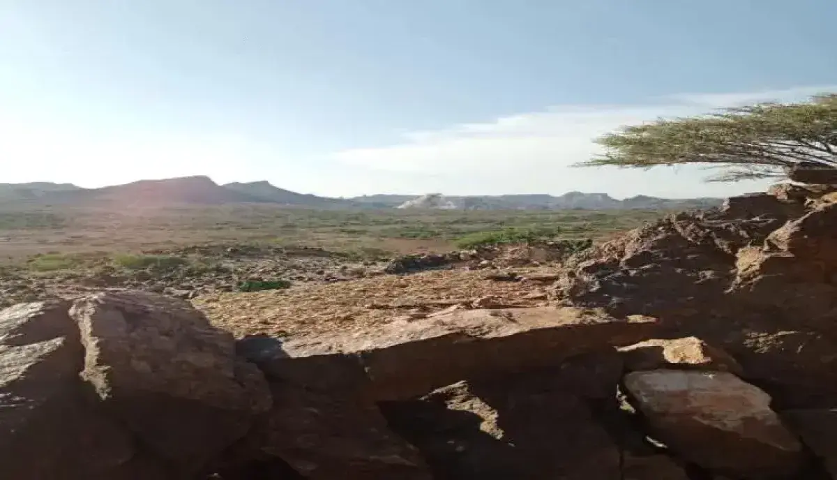 ملحمة خاطفة على تخوم الوازعية: (العمالقة) و(درع الوطن) ورجال الصبيحة يكسرون زحفاً حوثياً واسعاً ويطهرون جبل (سيف) الاستراتيجي