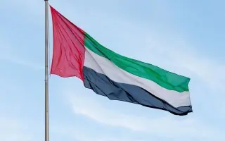 اقتصاد الإمارات يصل إلى 961.9 مليار درهم خلال النص...