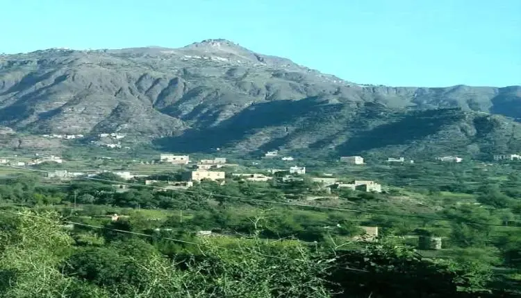 القوات الحكومية تصد هجوم حوثي في الشقب ومواجهات مح...
