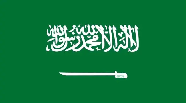 السعودية أمام مجلس الأمن: لن نسمح للحوثي بتحويل ال...