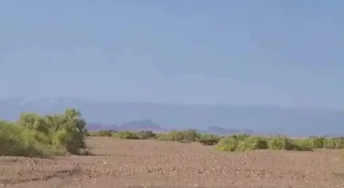 بـ 100 ألف ريال.. الحوثيون يساومون أم على جثة ابنها  بالوازعية فتدفنه بيديها في شِعب جبلي