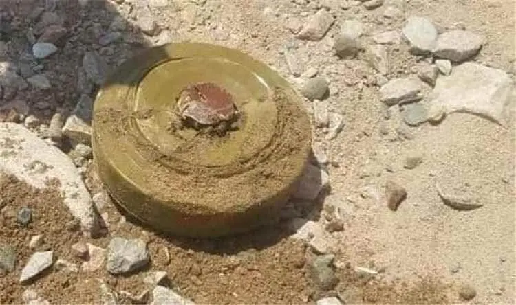 لغم حوثي يحوّل حقلاً زراعياً في تعز إلى مأساة.. مق...