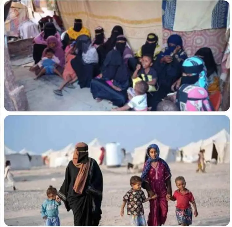 معاناة نازحي مديرية المضاربة راس العارة: حكايات مع...