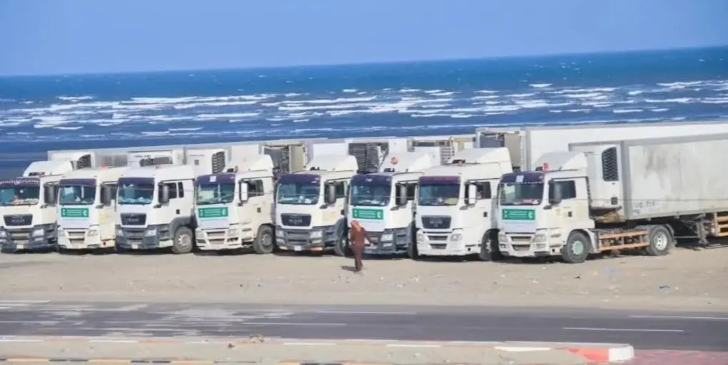 وصول 9 شاحنات إغاثية إلى عدن مقدمة من مركز الملك س...