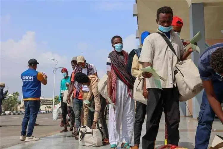 الهجرة الدولية: نحو 12 ألف مهاجر أفريقي وصلوا اليمن خلال سبتمبر بزيادة 4%