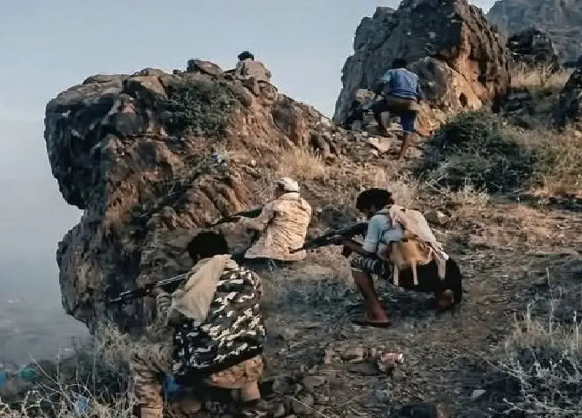 أبطال تعز يسحقون هجمات حوثية على جبل النبي ضحيح