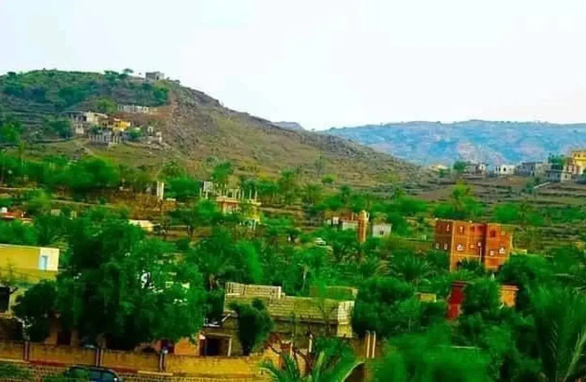 مذبحة مروعة في تعز: الحوثيون يرتكبون جريمة حرب جدي...