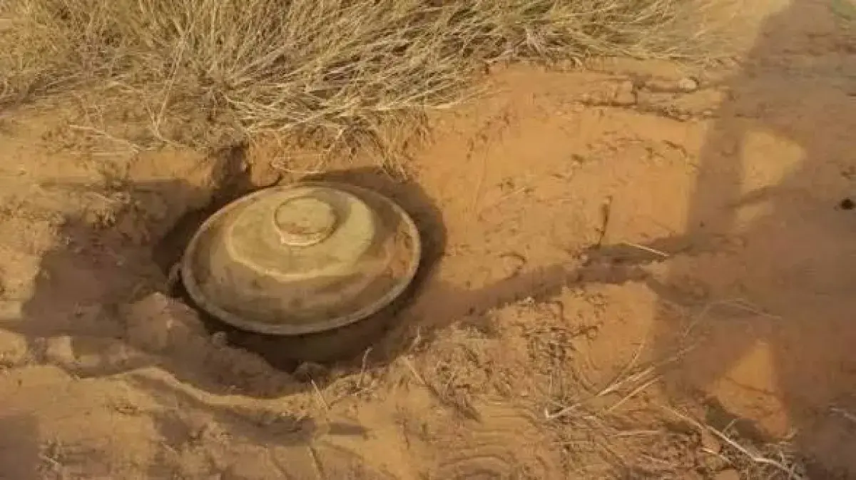 استشهد طفل بانفجار لغم حوثي في مديرية الجراحي بالح...