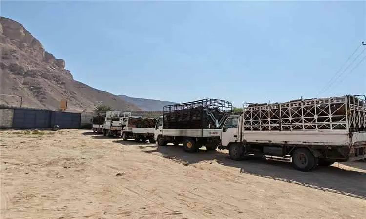 حملة إسعافية تضخ 1350 أسطوانة غاز منزلي لتلبية احت...