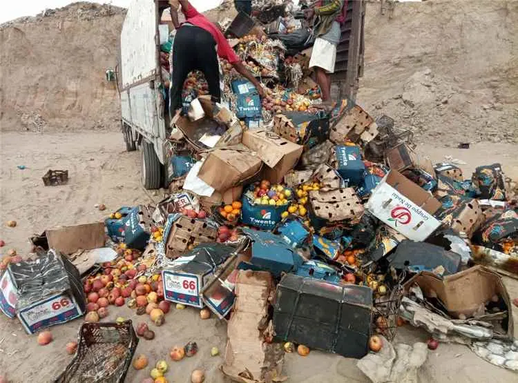 صحة البيئة بالمنصورة تتلف 20 طنا من الفواكه الفاسد...