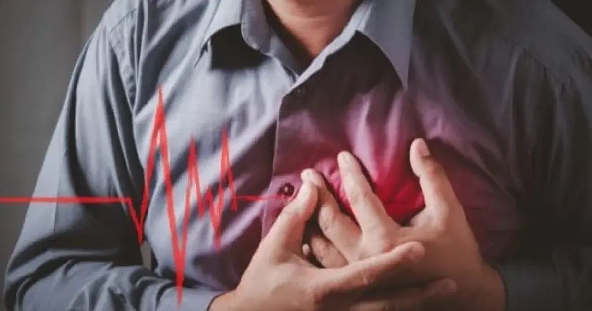 رحلة داخل قلب الإنسان: الكهرباء والشرايين والصماما...