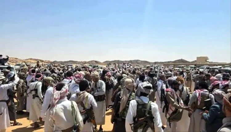 بكيل هي الحبل السري للحوثي، وإيران تدير الحرب الزي...