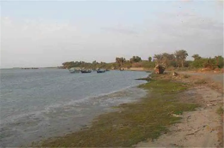 استشهاد خمسة مدنيين بينهم طفل في سقوط صاروخ حوثي ع...