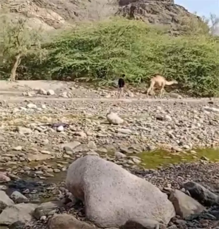 حطاط..... حكاية أرضٍ حباها الله بالجمال ودفء المكا...