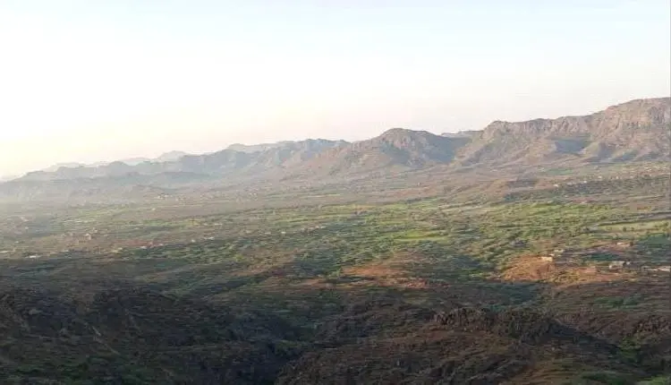القوات الجنوبية تتقدم في المضاربة.. قتلى حوثيون وف...