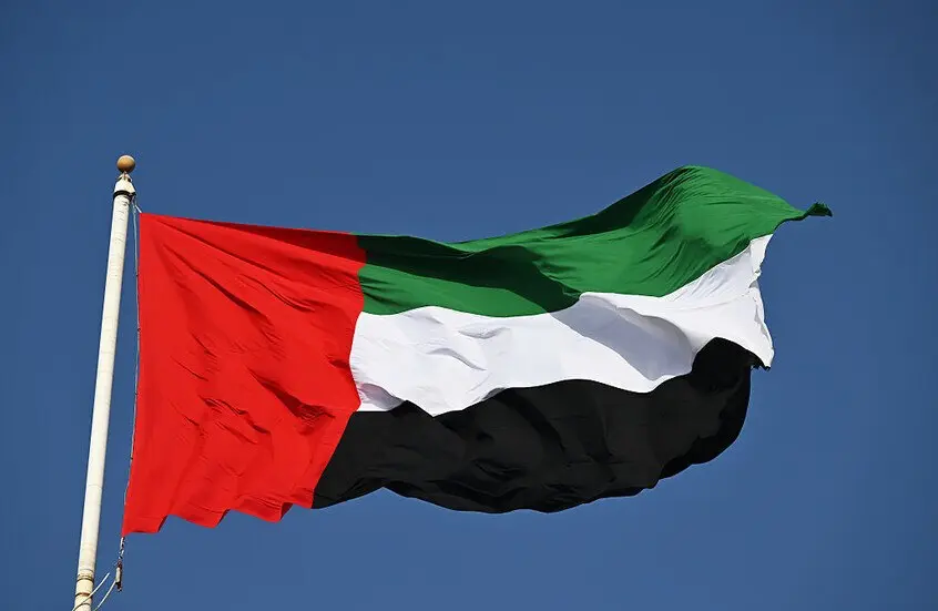 ابوظبي تقضي بالسجن المؤبد لمدانين بقضية تسليح للجي...
