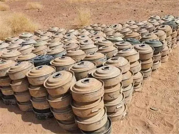 الحكومة تحذر من كارثة إنسانية جراء الألغام الحوثية...